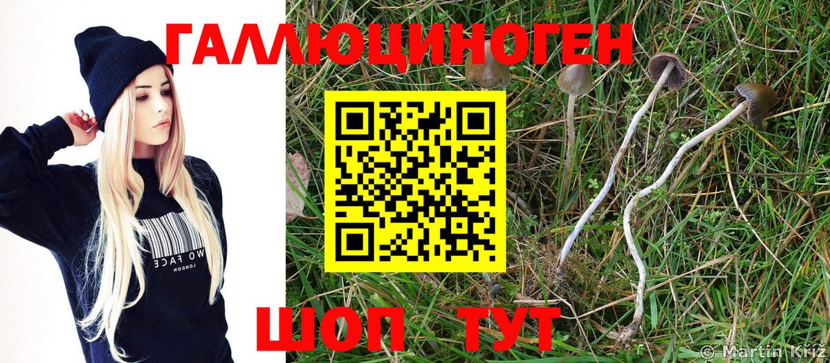 Галлюциногенные грибы Magic Shrooms Печора