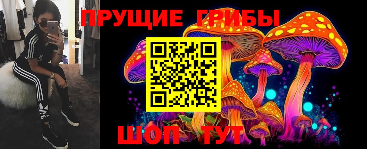 Печора  Псилоцибиновые грибы Cubensis  Вход с VPN 