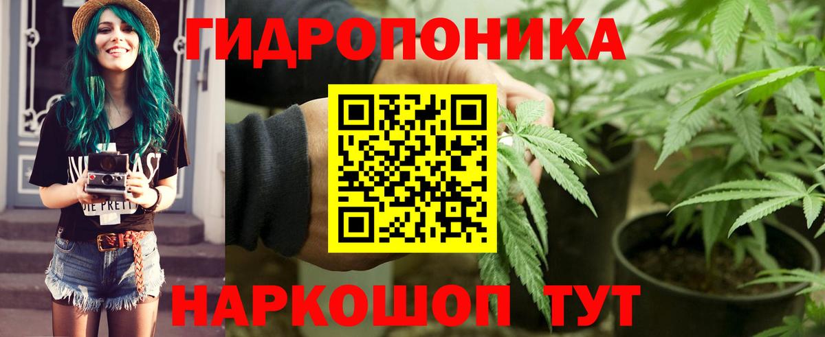 Шишки марихуана OG Kush Печора